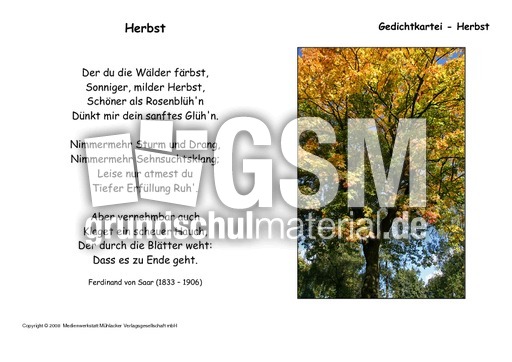 Herbst-F-v-Saar.pdf